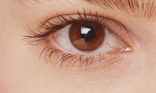 深入解析个体与自由职业者的区别