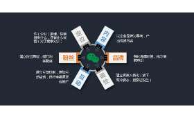 孝子如何以小博大？—— 探讨孝心之深邃与力量